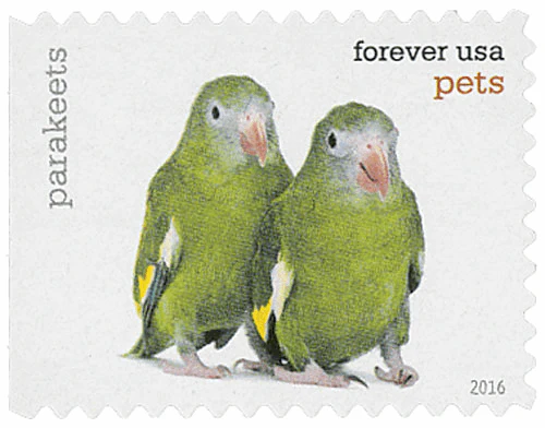 Pets Celebrate Animals 2016 - Image 16