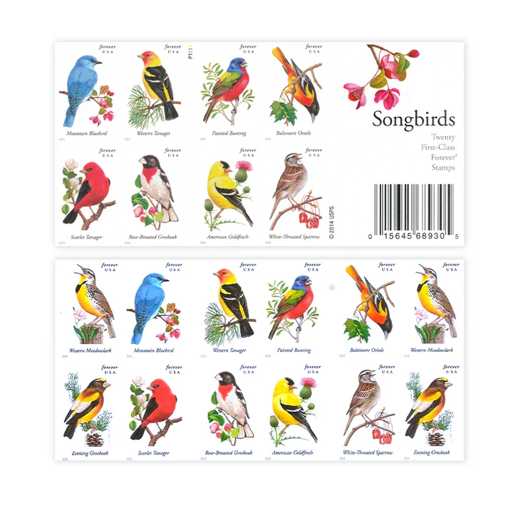 Songbird 2014 - Image 2