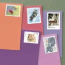 Animal Bundle