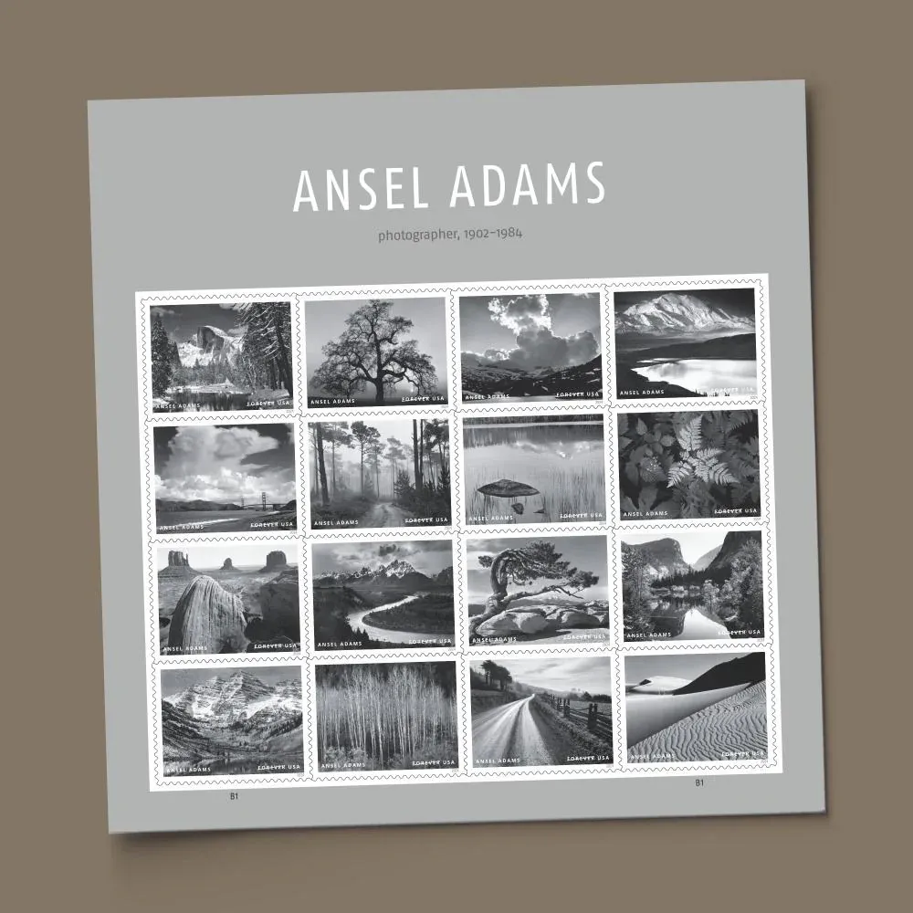 Ansel Adams 2024 - Image 6