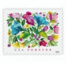 Celebration Blooms 2024