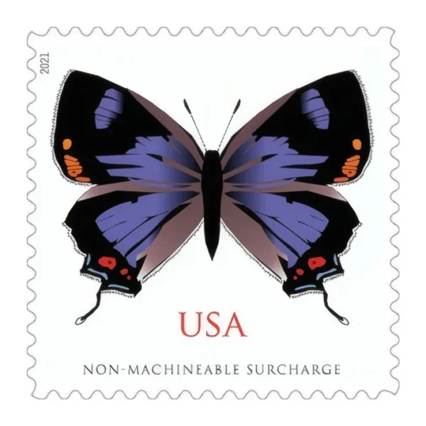 Colorado Hairstreak 2021