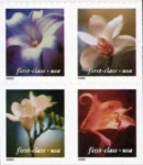 Four Orchids 2020