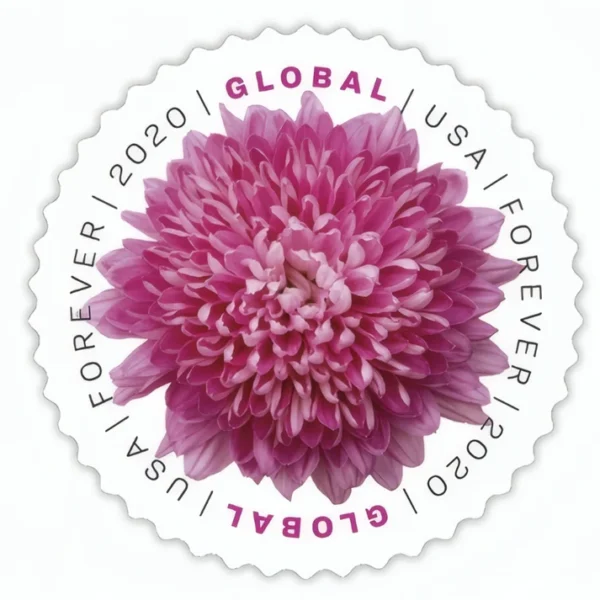 Global Chrysanthemum 2020