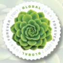 Global Green Succulent 2017