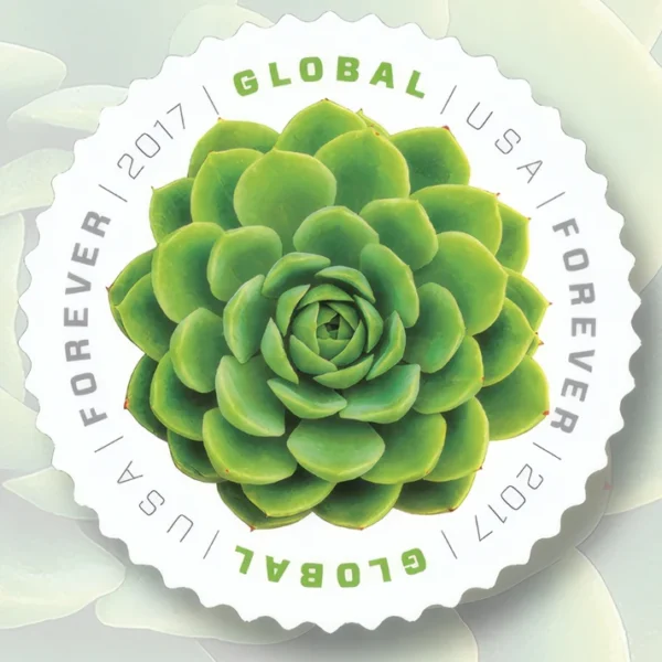 Global Green Succulent 2017
