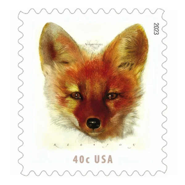 Red Fox 2023