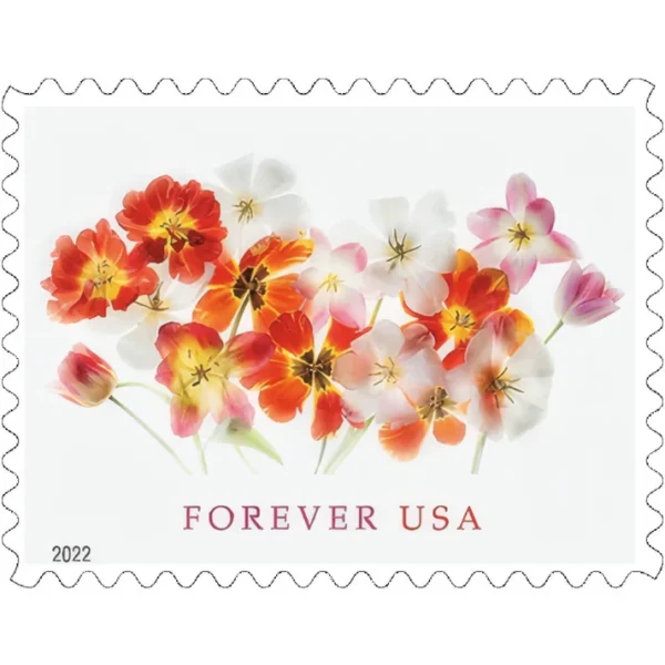 Tulips 2022