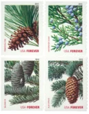 Holiday Daily Green Trees 2009