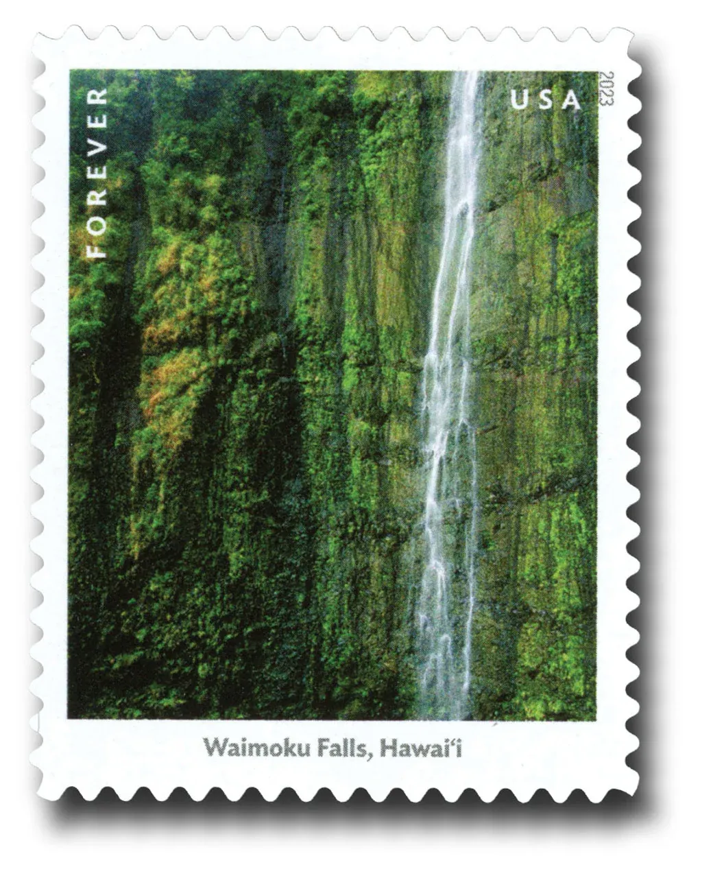 Waterfall 2023 - Image 3