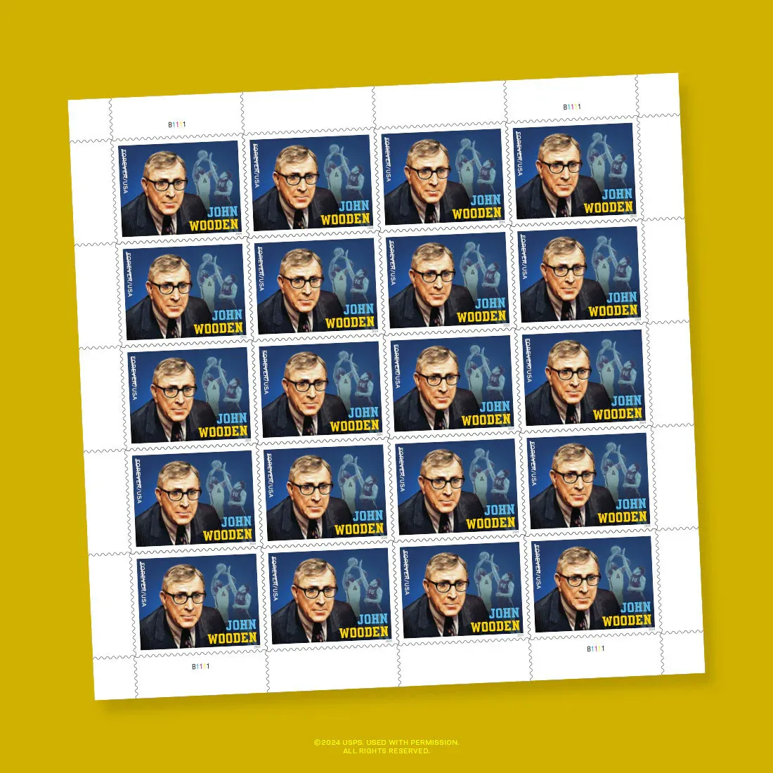 John Wood 2024 - Image 2