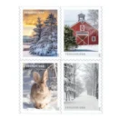 Winter Scenes 2020