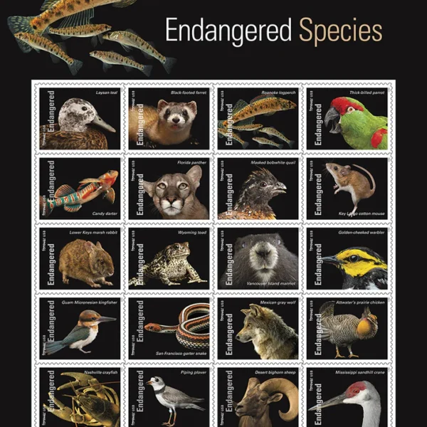 Endangered Species 2023