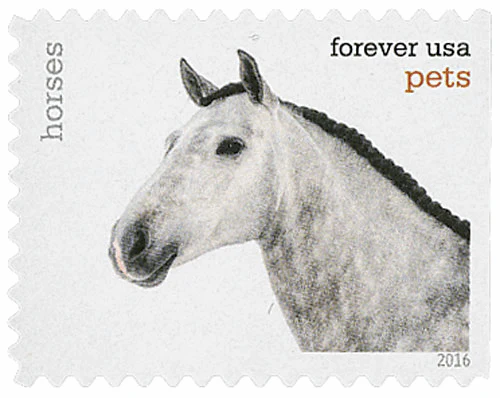 Pets Celebrate Animals 2016 - Image 15