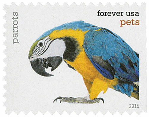 Pets Celebrate Animals 2016 - Image 5