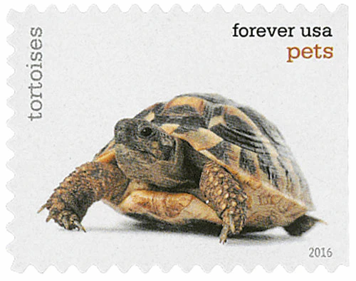 Pets Celebrate Animals 2016 - Image 4