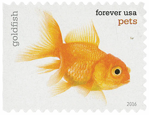 Pets Celebrate Animals 2016 - Image 3