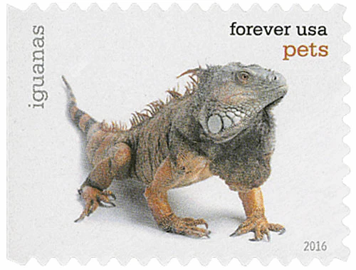 Pets Celebrate Animals 2016 - Image 20