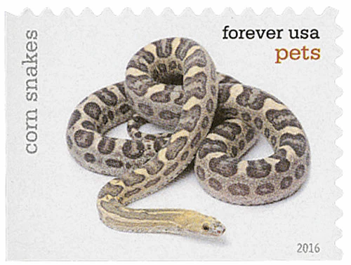 Pets Celebrate Animals 2016 - Image 19