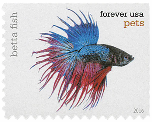 Pets Celebrate Animals 2016 - Image 18