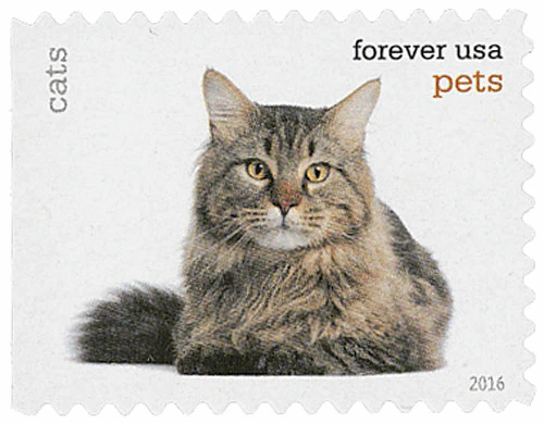 Pets Celebrate Animals 2016 - Image 14