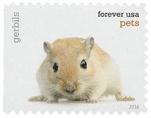 Pets Celebrate Animals 2016 - Image 13