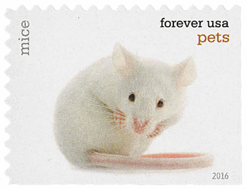 Pets Celebrate Animals 2016 - Image 12