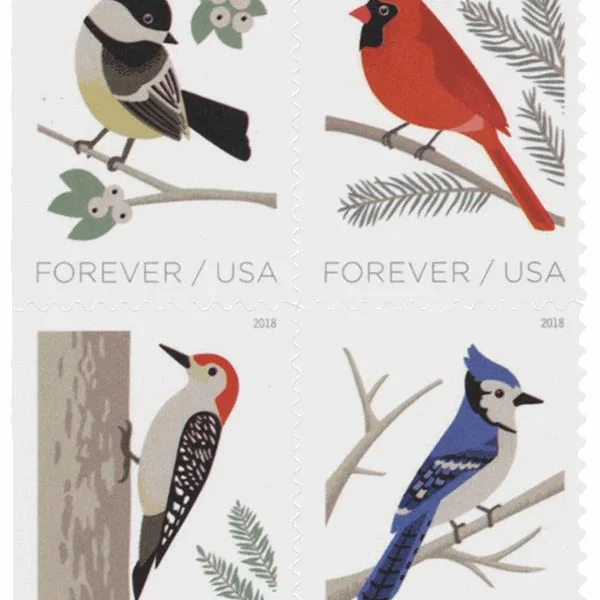 Birds in Winter 2018