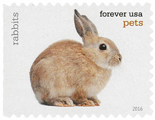 Pets Celebrate Animals 2016 - Image 11