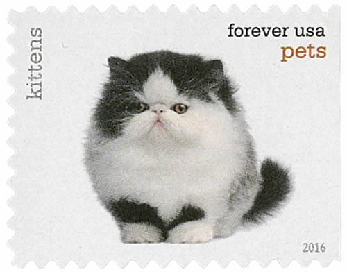 Pets Celebrate Animals 2016 - Image 10