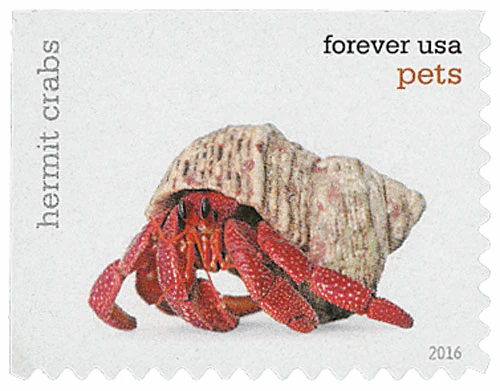 Pets Celebrate Animals 2016 - Image 8