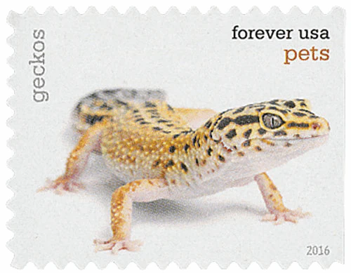 Pets Celebrate Animals 2016 - Image 7