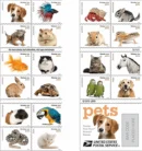 Pets Celebrate Animals 2016