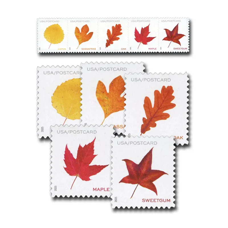 2025 Vibrant Leavea Postcard Forever First Class Postage Stamps - Image 3