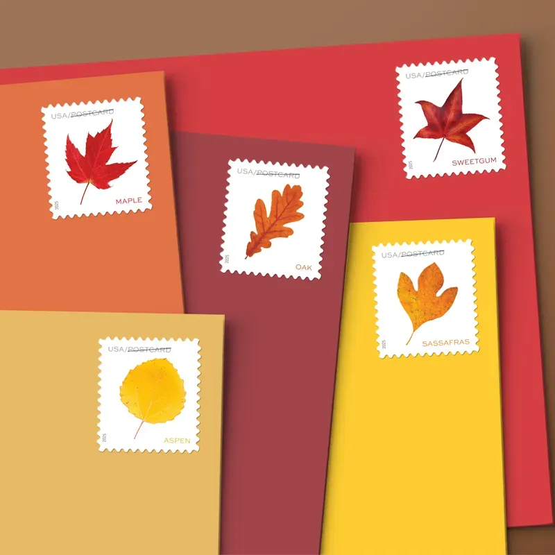 2025 Vibrant Leavea Postcard Forever First Class Postage Stamps - Image 4