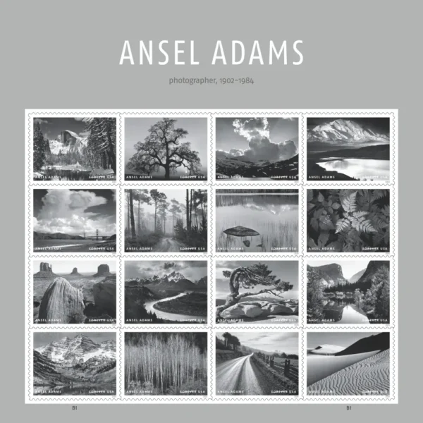 Ansel Adams 2024