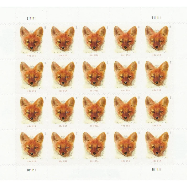 Red Fox 2023 - Image 2