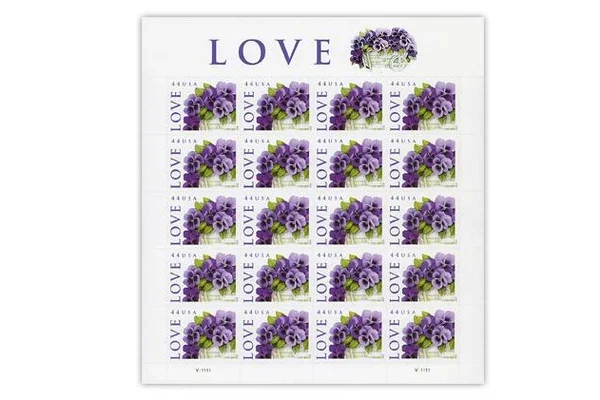 Purple Orchid 2010
